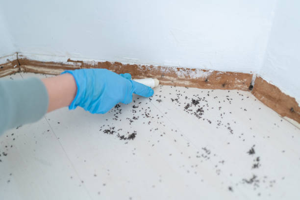 Best Exterminator Services  in Mckee City, NJ